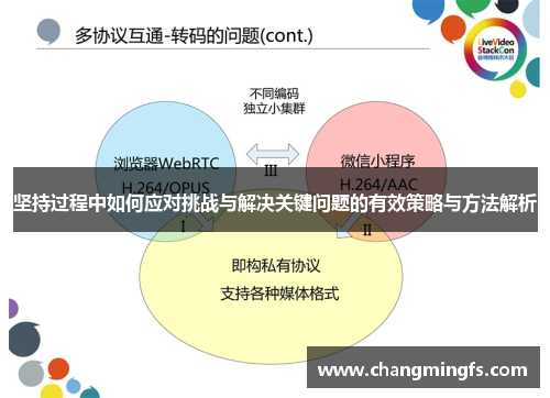 坚持过程中如何应对挑战与解决关键问题的有效策略与方法解析