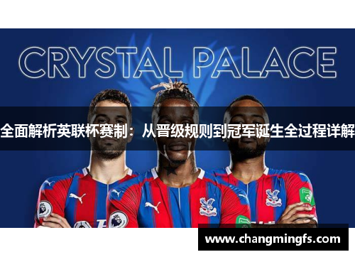 全面解析英联杯赛制：从晋级规则到冠军诞生全过程详解
