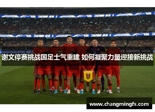 谢文停赛挑战国足士气重建 如何凝聚力量迎接新挑战
