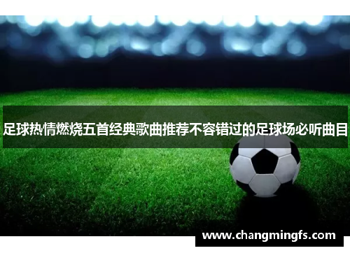 足球热情燃烧五首经典歌曲推荐不容错过的足球场必听曲目